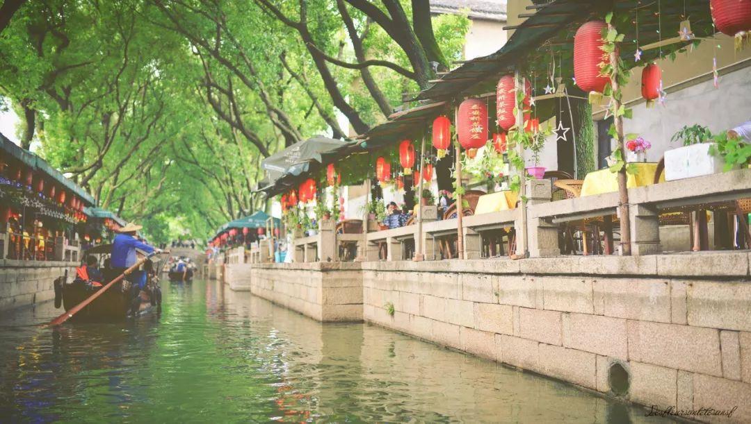 植物大战僵尸20